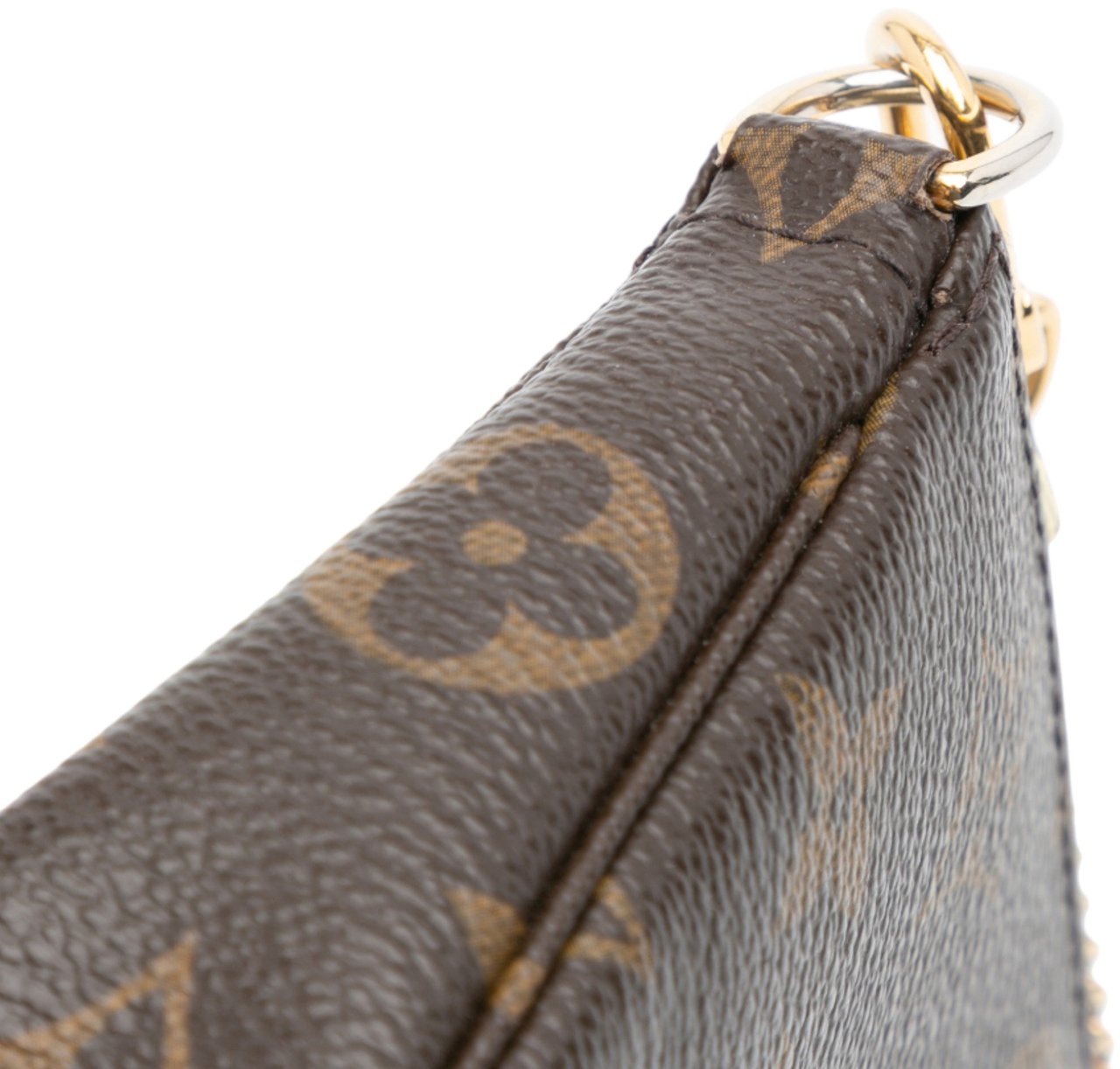Louis Vuitton Monogram Mini Pochette Accessoires Bruin