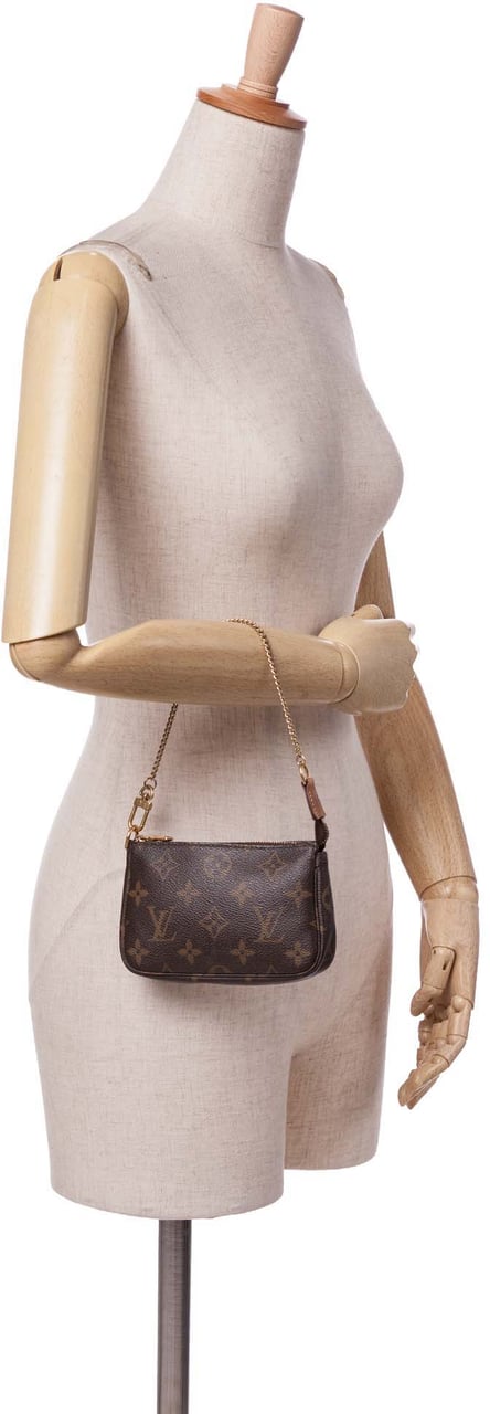 Louis Vuitton Monogram Mini Pochette Accessoires Bruin