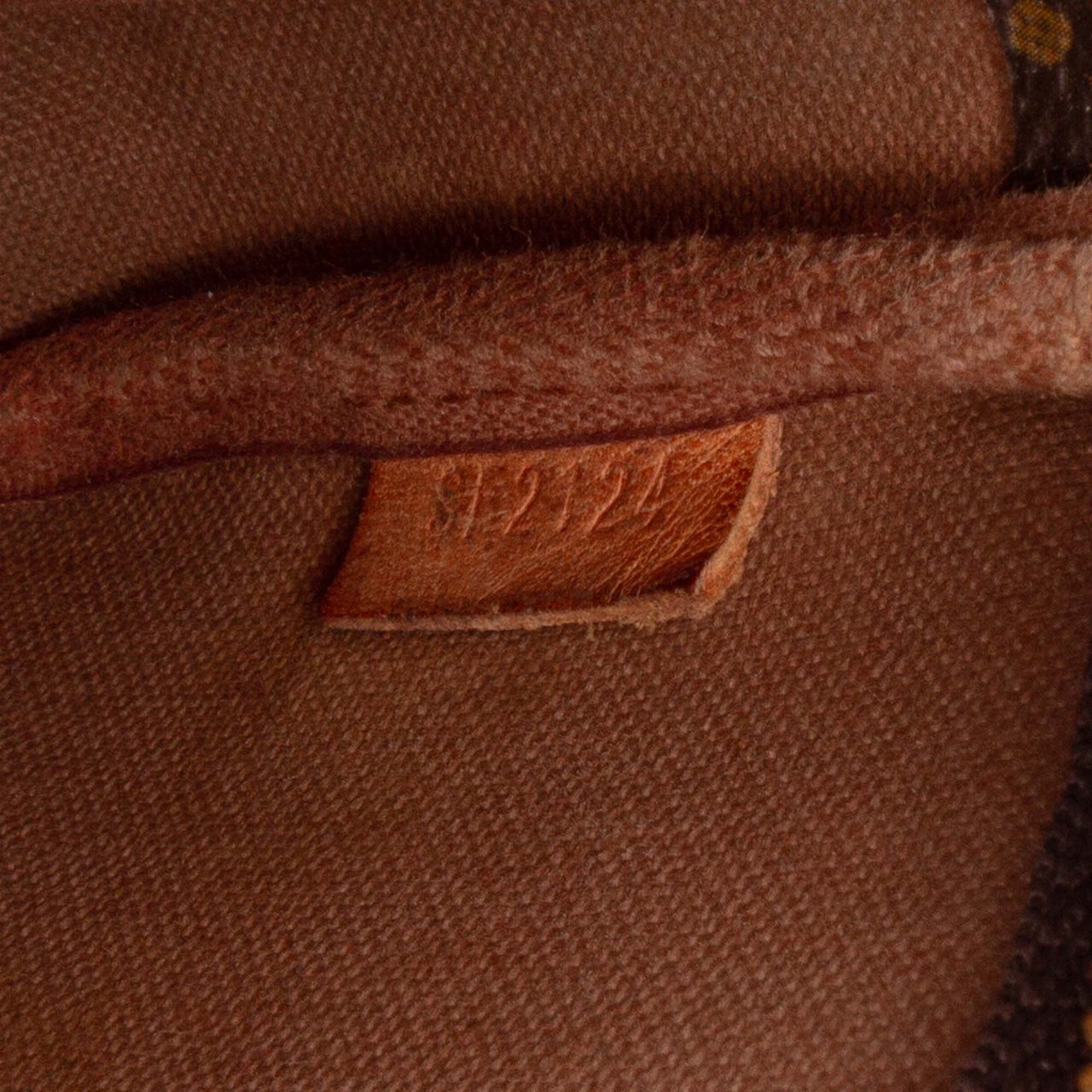 Louis Vuitton Monogram Mini Pochette Accessoires Bruin