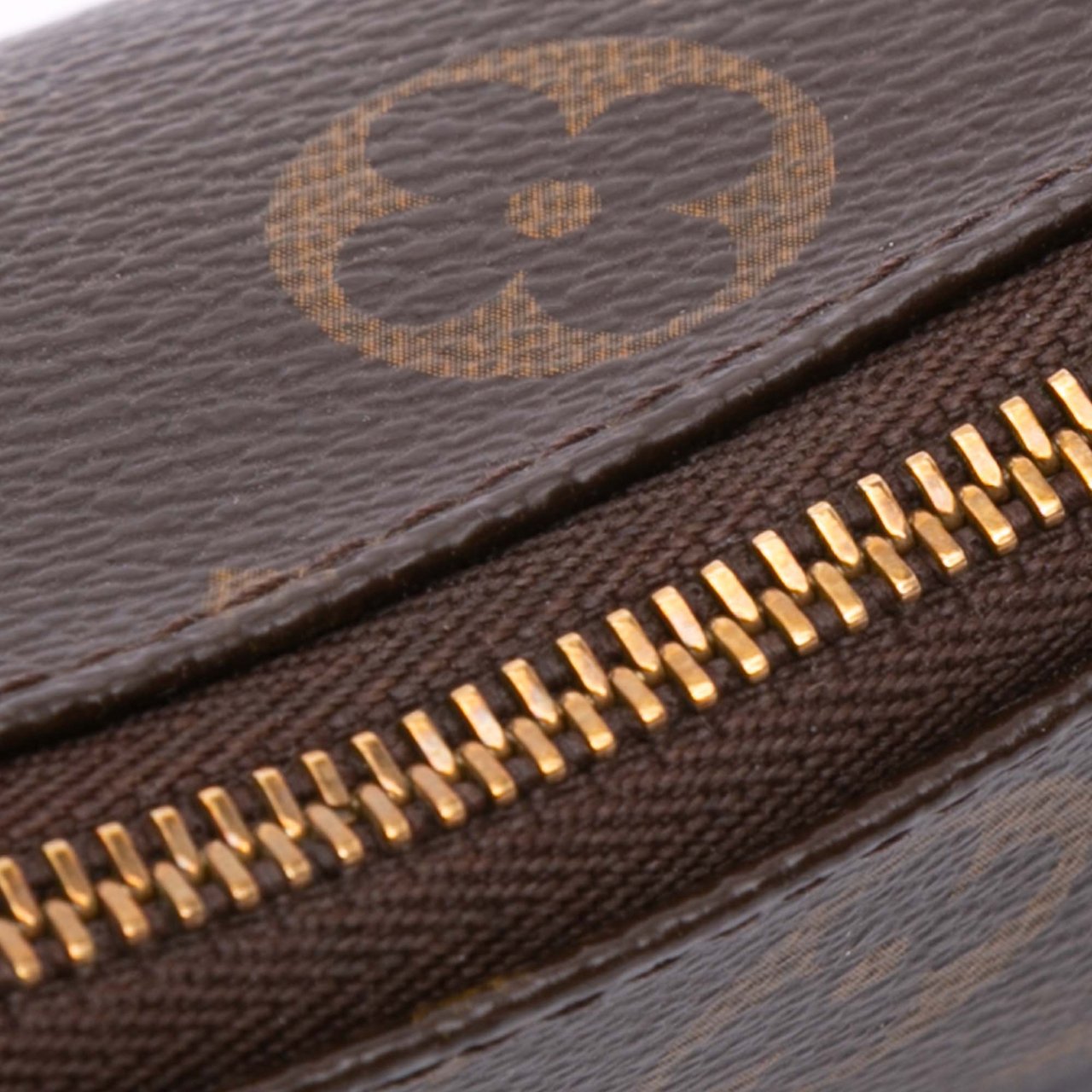 Louis Vuitton Monogram Mini Pochette Accessoires Bruin