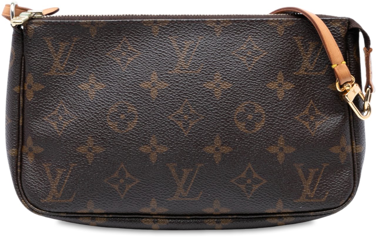 Louis Vuitton Monogram Pochette Accessoires Bruin