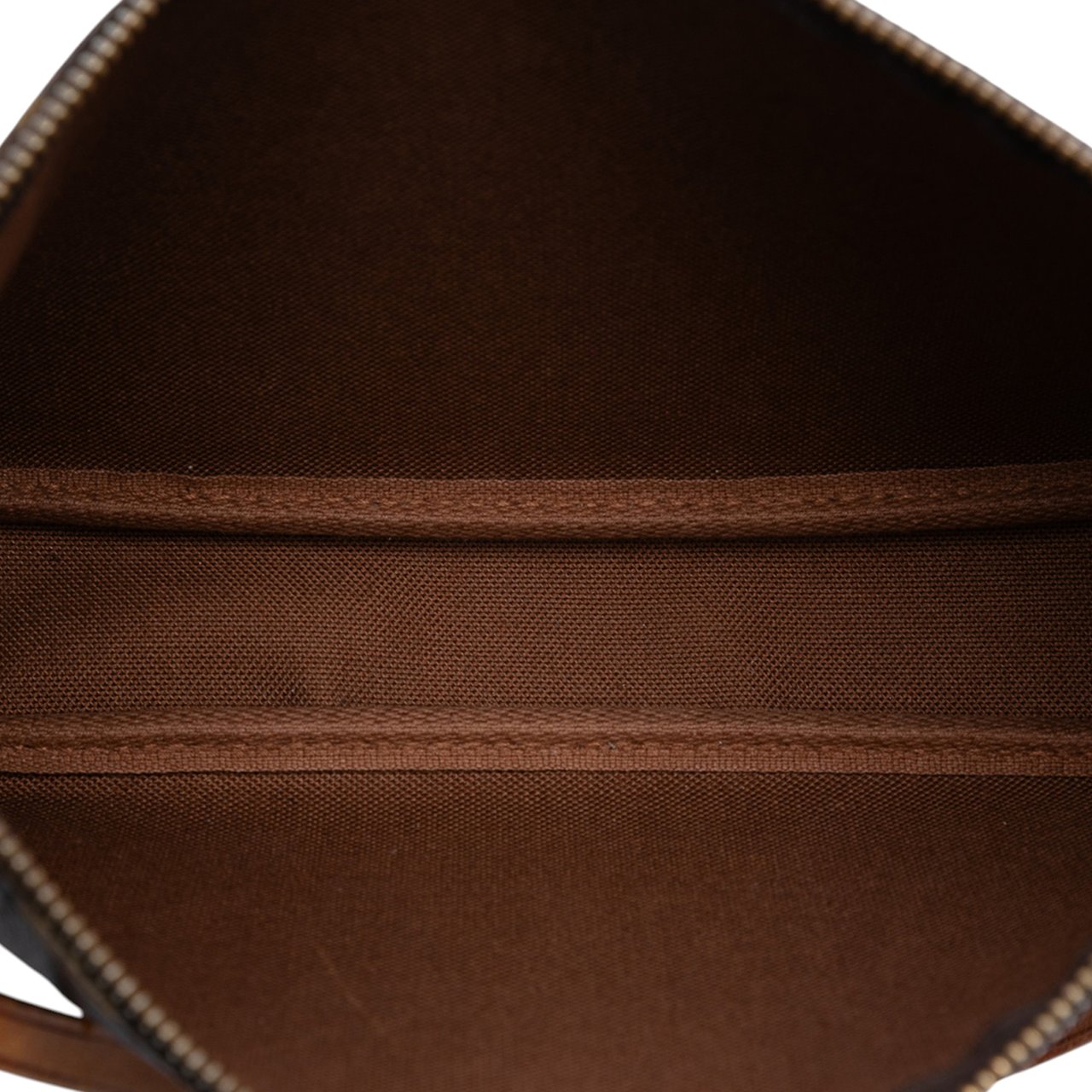 Louis Vuitton Monogram Pochette Accessoires Bruin