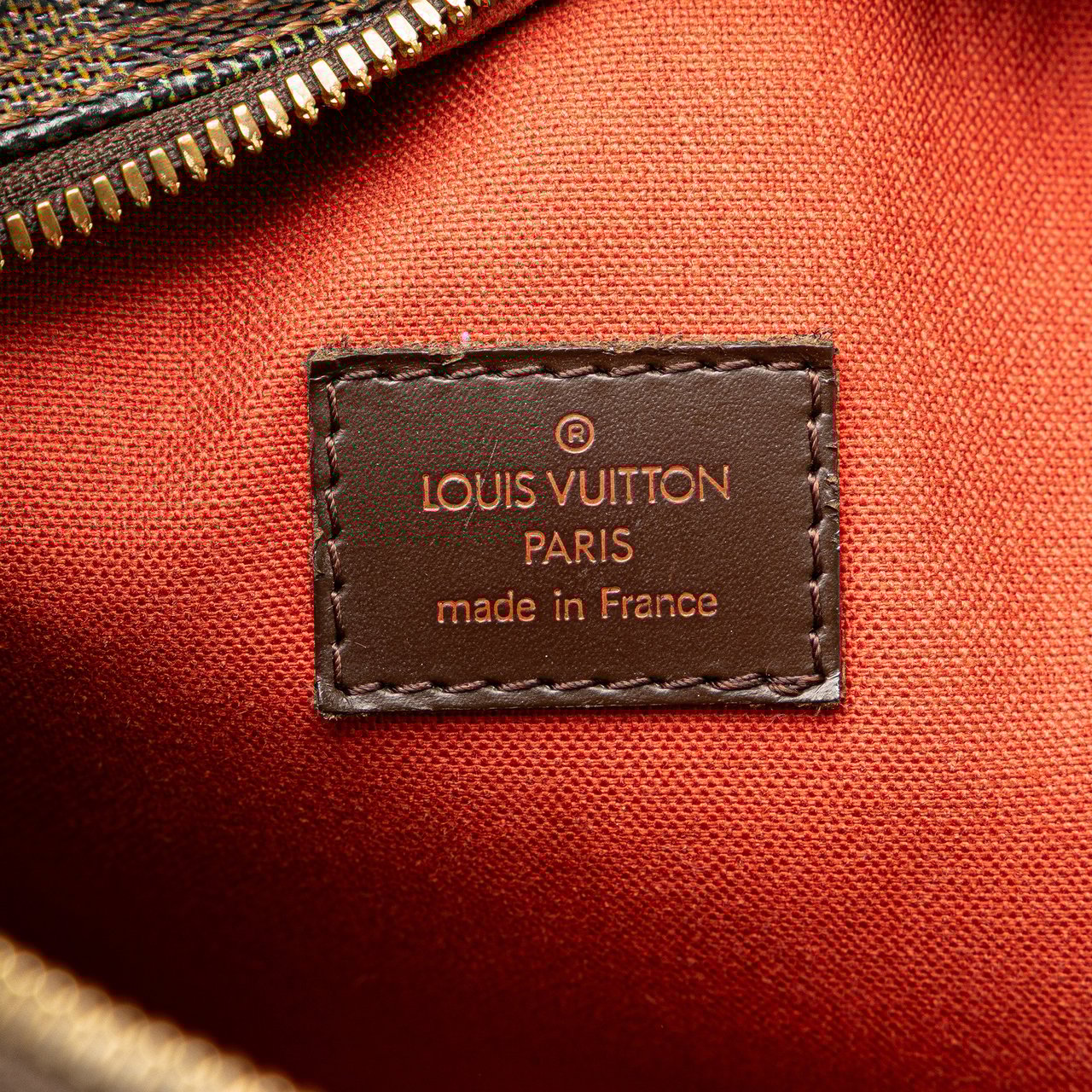 Louis Vuitton Damier Ebene Olav PM Bruin