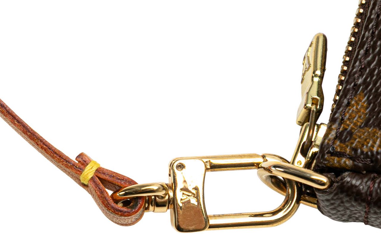 Louis Vuitton Monogram Pochette Accessoires Bruin