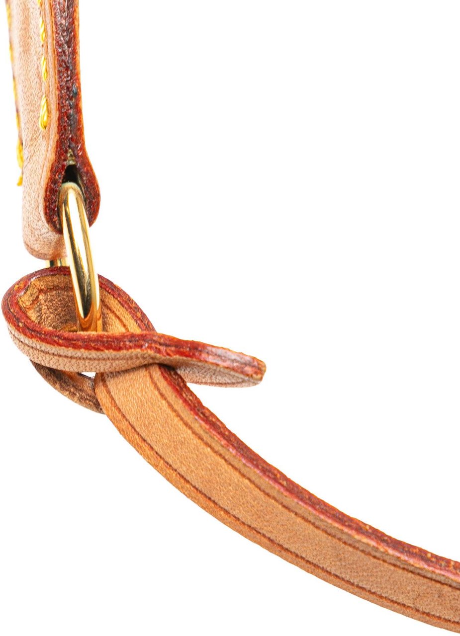 Louis Vuitton Monogram Pochette Accessoires Bruin