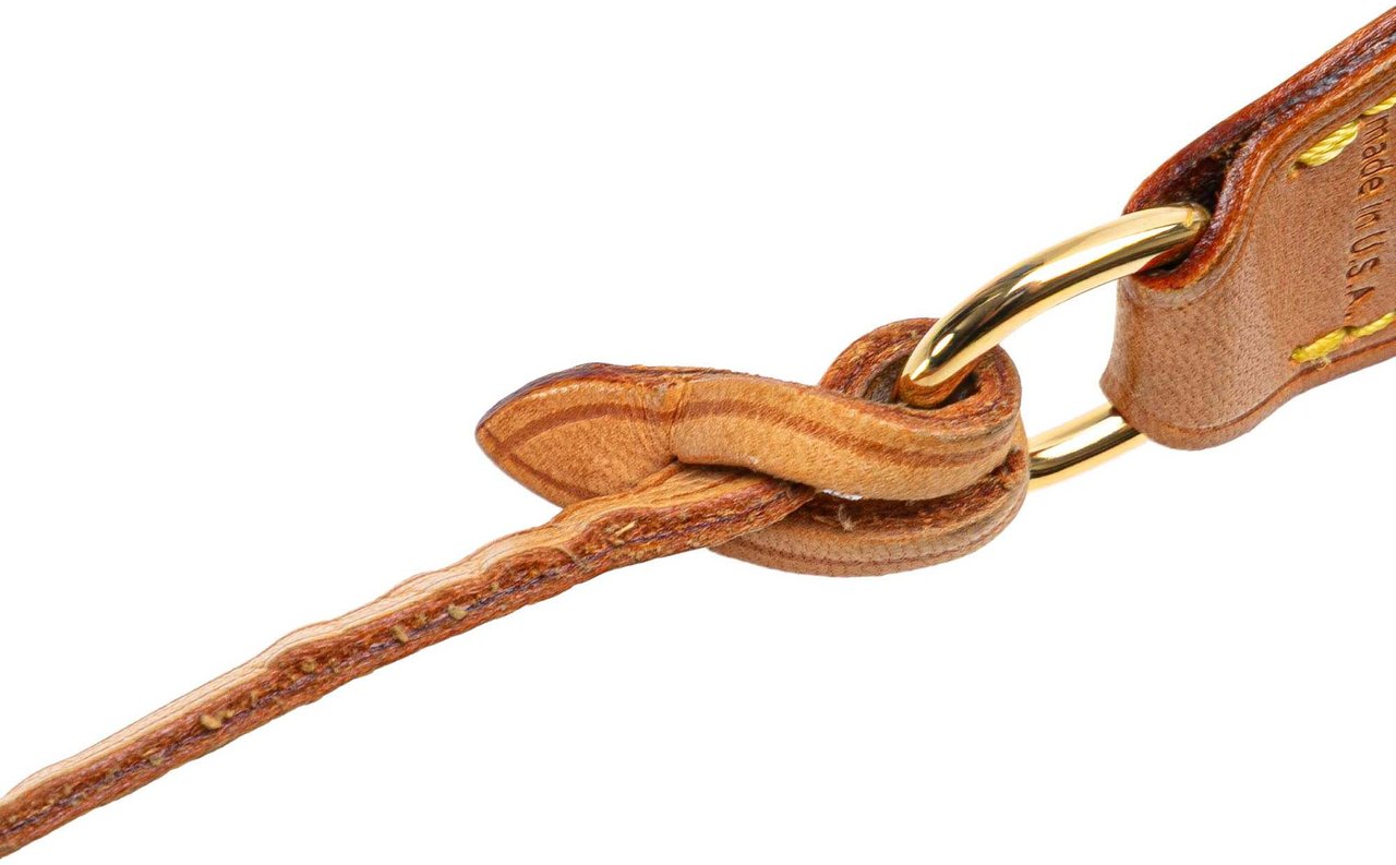 Louis Vuitton Monogram Pochette Accessoires Bruin