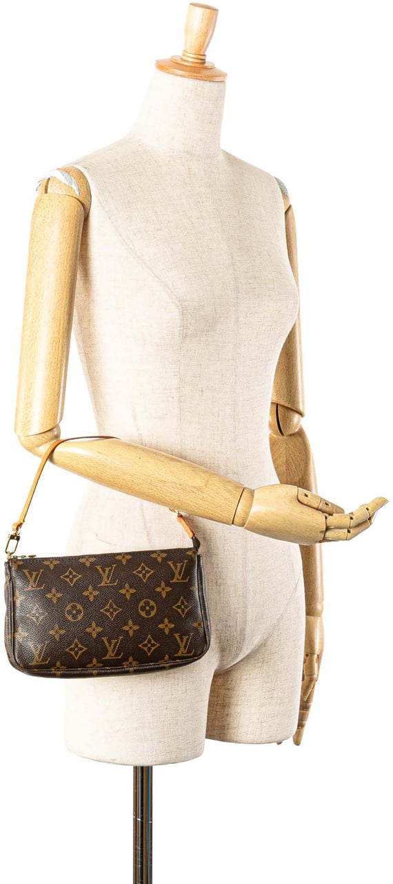 Louis Vuitton Monogram Pochette Accessoires Bruin
