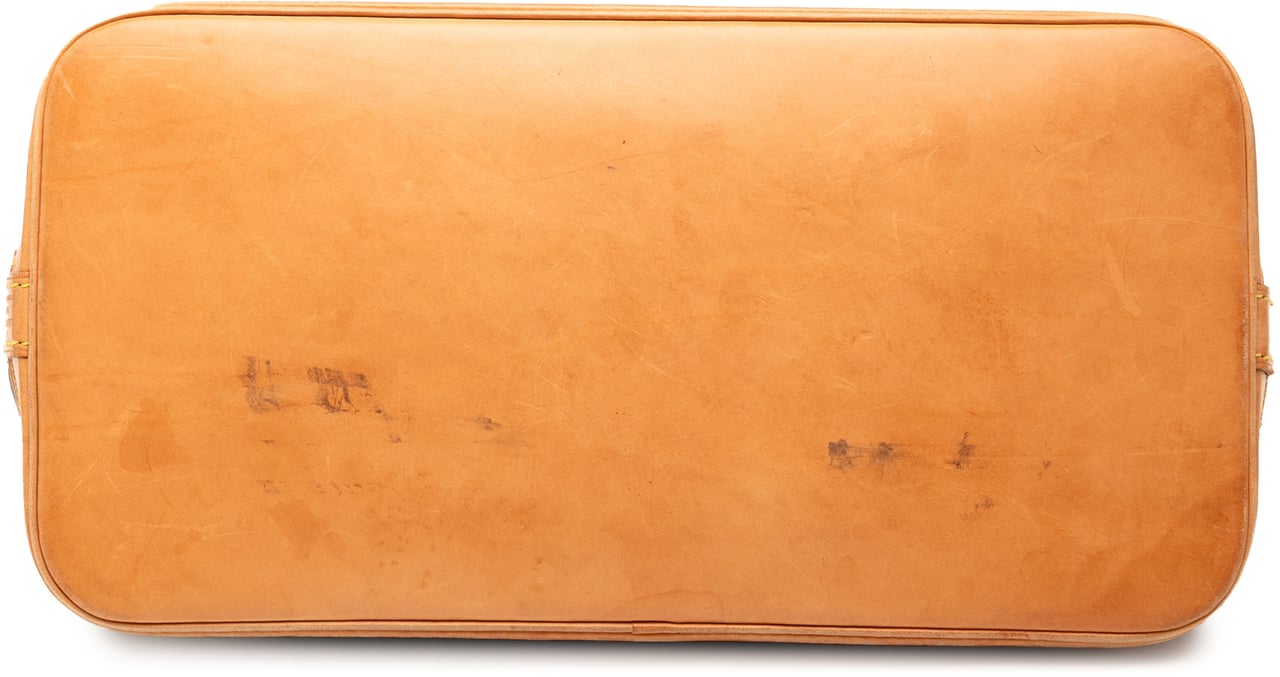 Louis Vuitton Monogram Alma PM Bruin