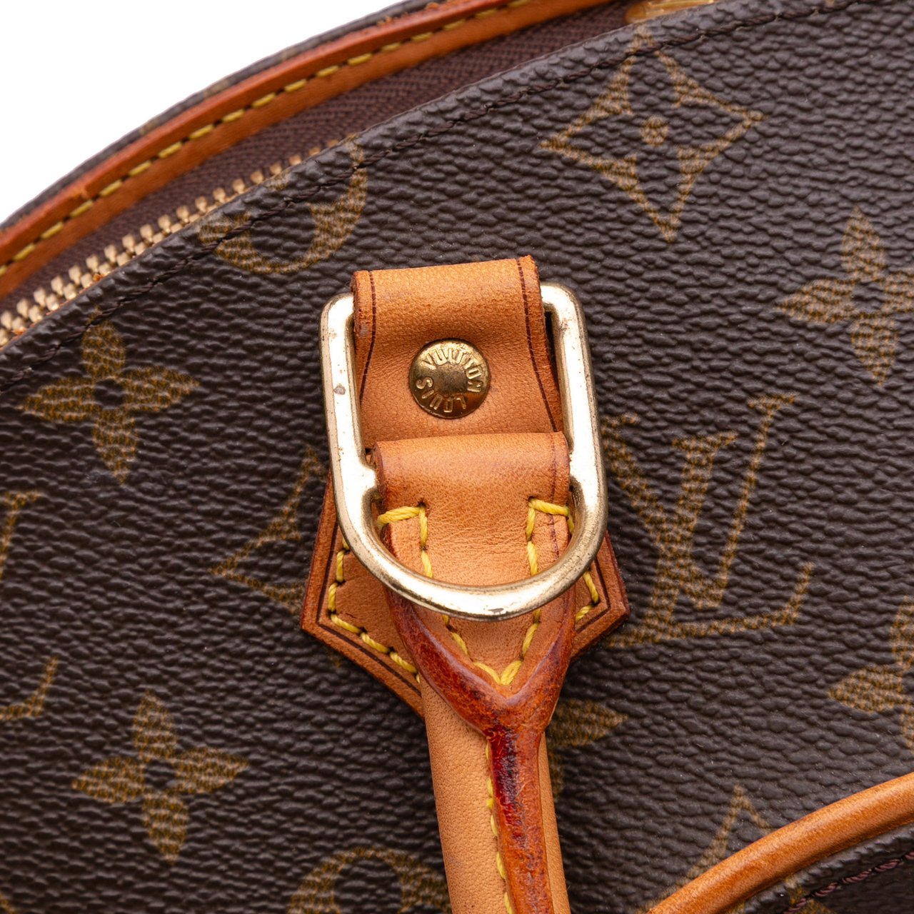 Louis Vuitton Monogram Ellipse MM Bruin