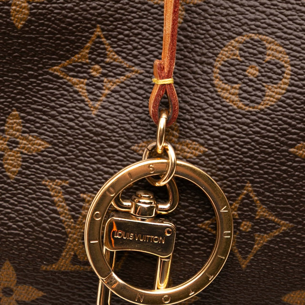 Louis Vuitton Monogram Artsy MM Bruin