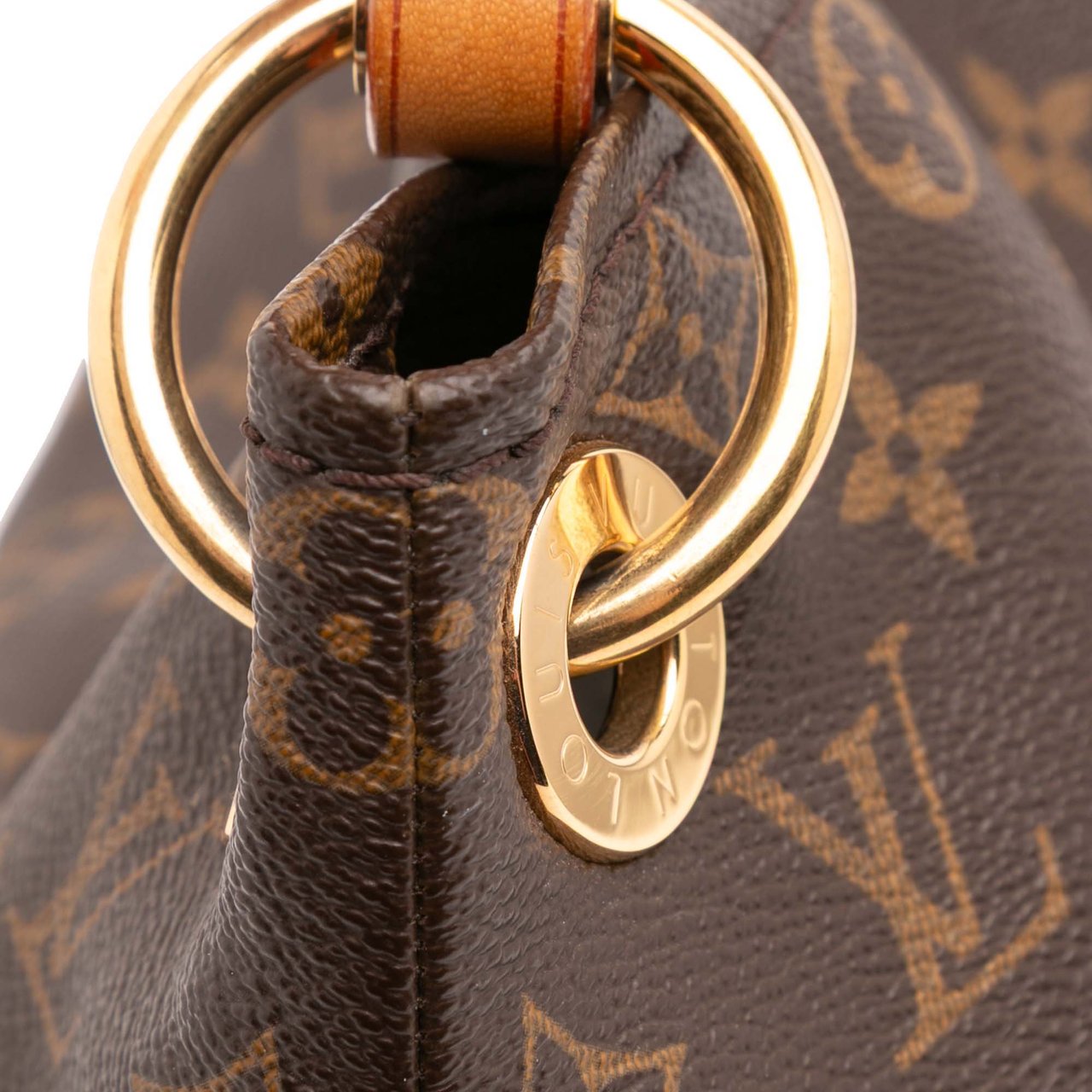 Louis Vuitton Monogram Artsy MM Bruin