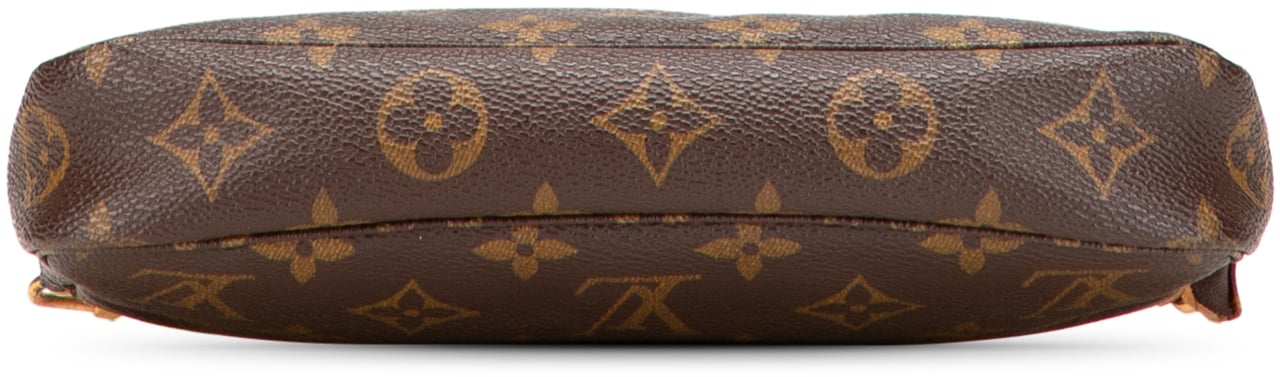 Louis Vuitton Monogram Pochette Accessoires Bruin