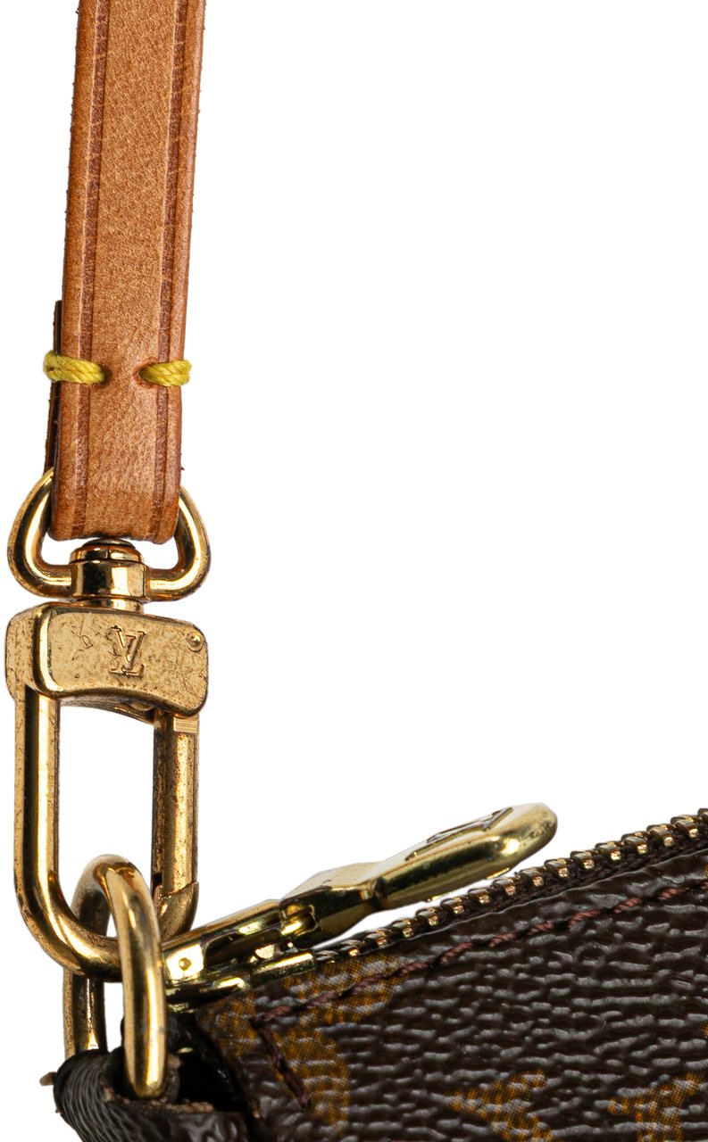 Louis Vuitton Monogram Pochette Accessoires Bruin