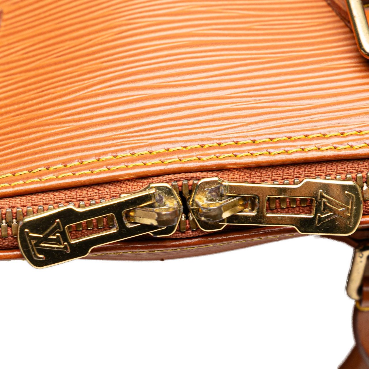 Louis Vuitton Epi Alma PM Bruin