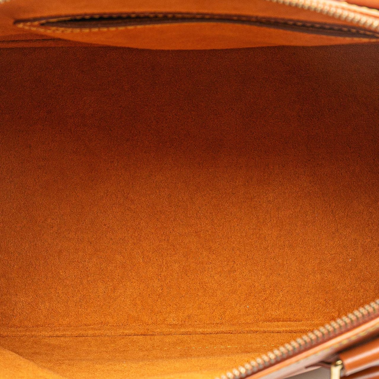 Louis Vuitton Epi Alma PM Bruin