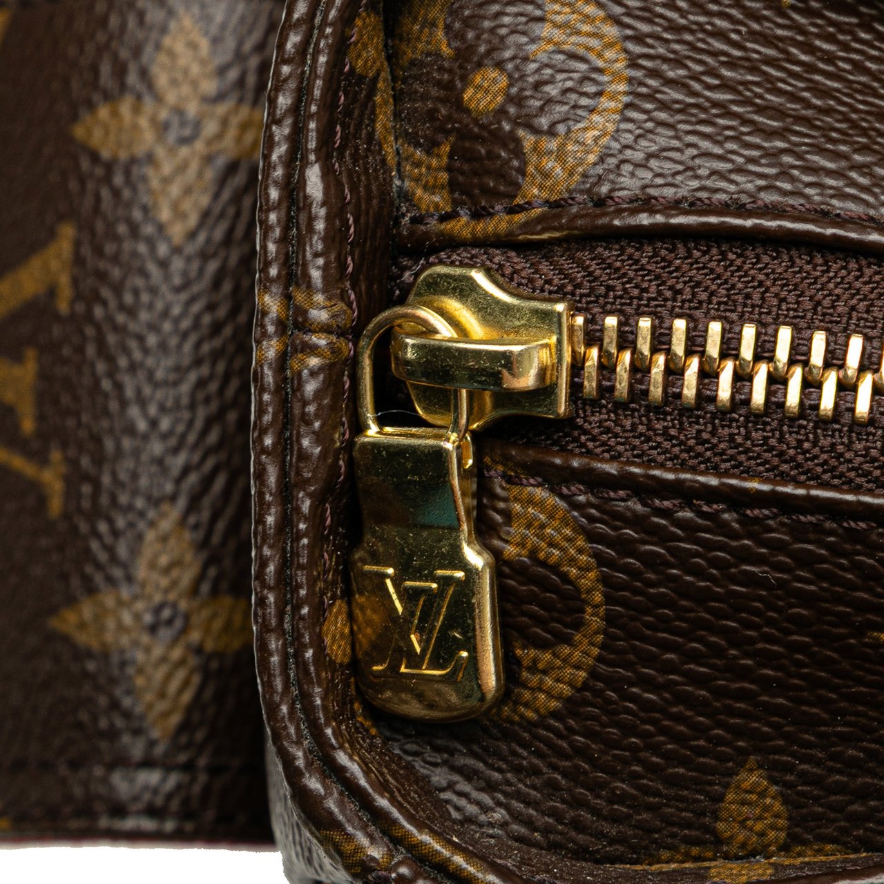 Louis Vuitton Monogram Multipli Cite Bruin