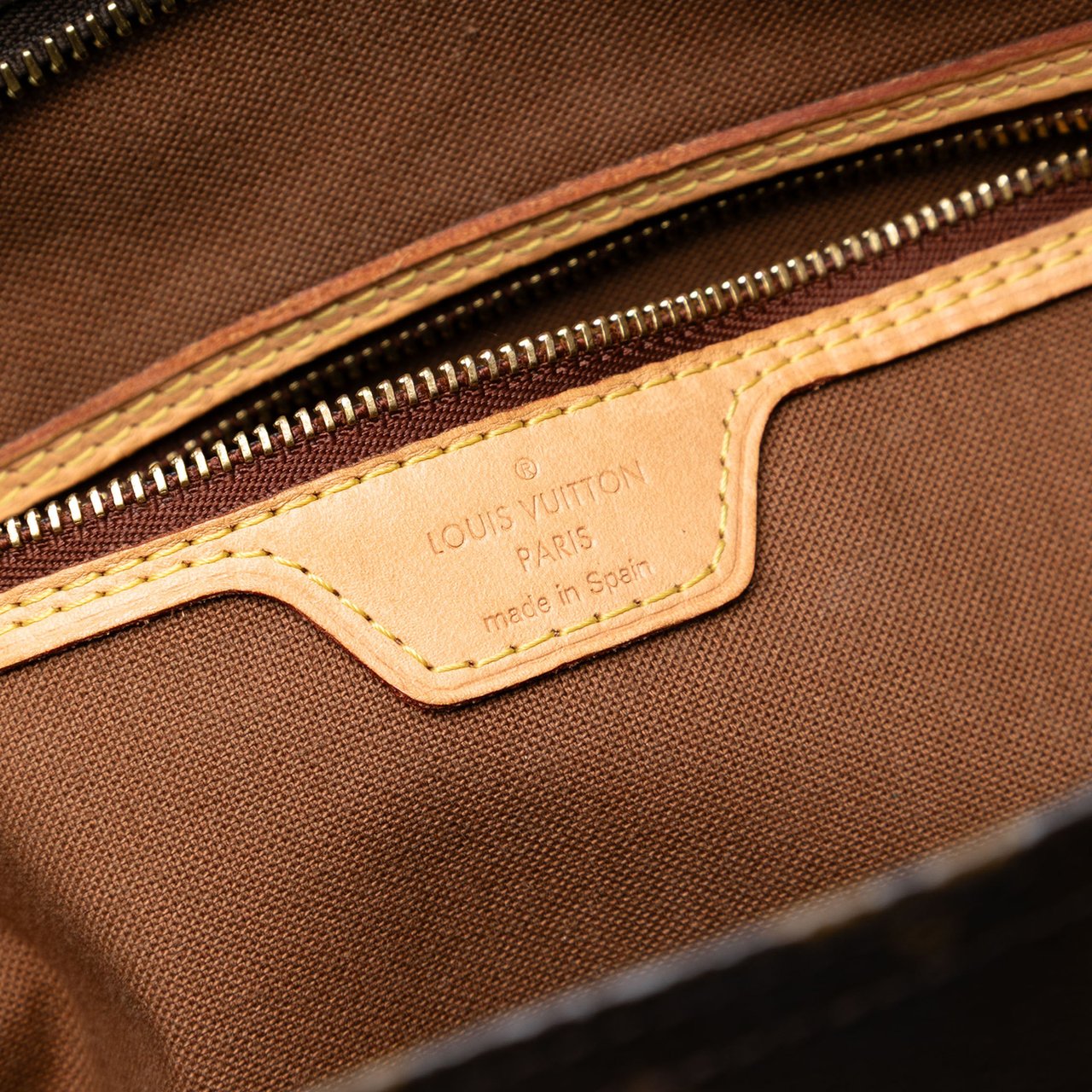 Louis Vuitton Monogram All In PM Bruin