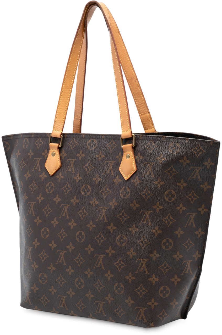 Louis Vuitton Monogram All In PM Bruin