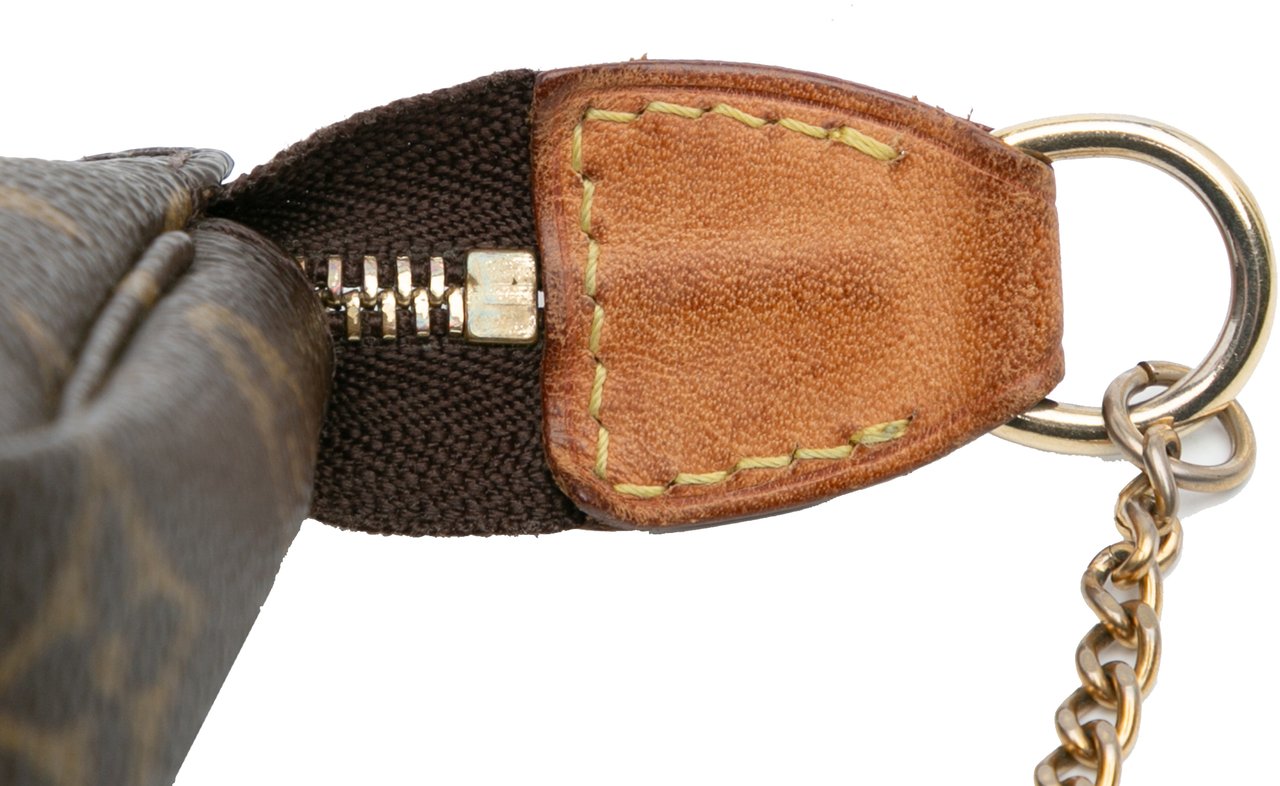 Louis Vuitton Monogram Mini Pochette Accessoires Bruin