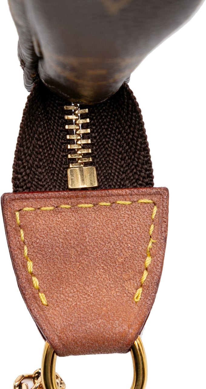 Louis Vuitton Monogram Mini Pochette Accessoires Bruin