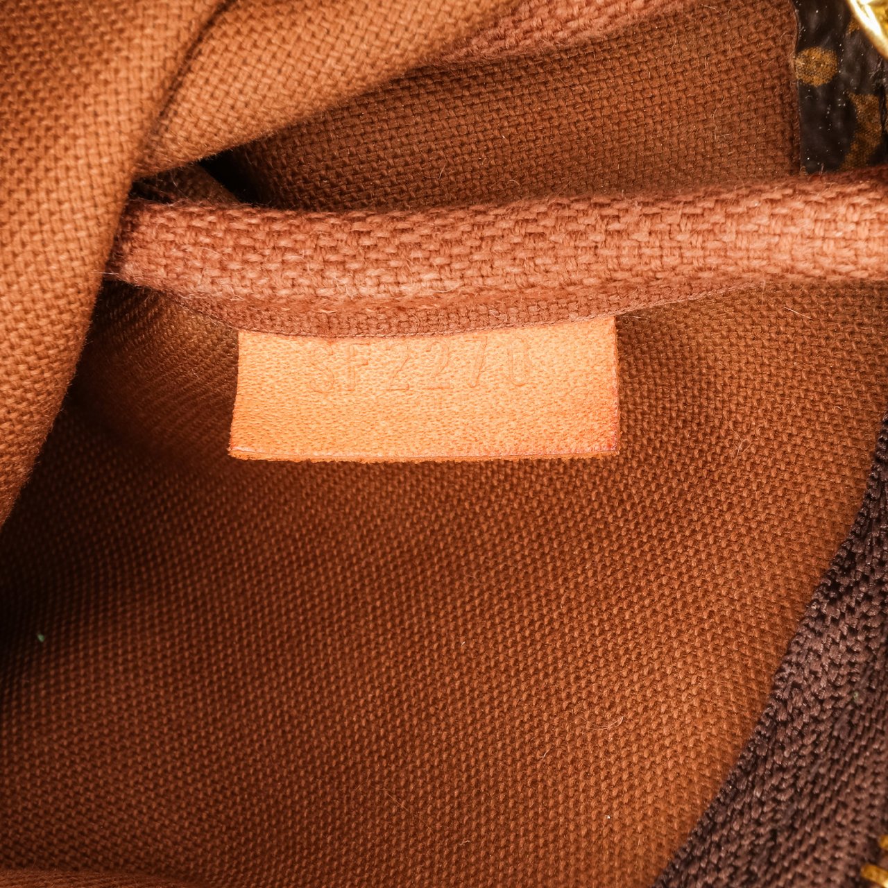 Louis Vuitton Monogram Mini Pochette Accessoires Bruin