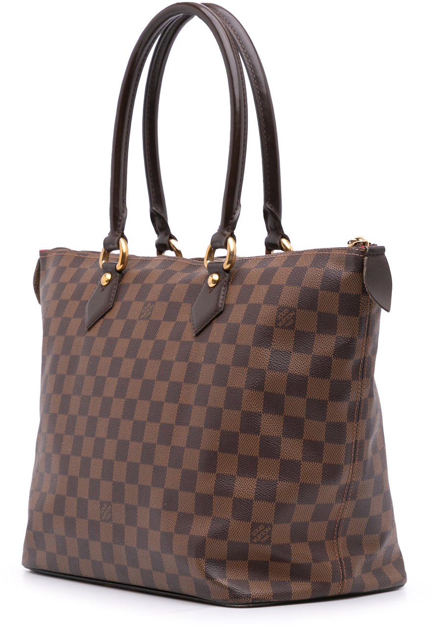 Louis Vuitton Damier Ebene Saleya MM Bruin