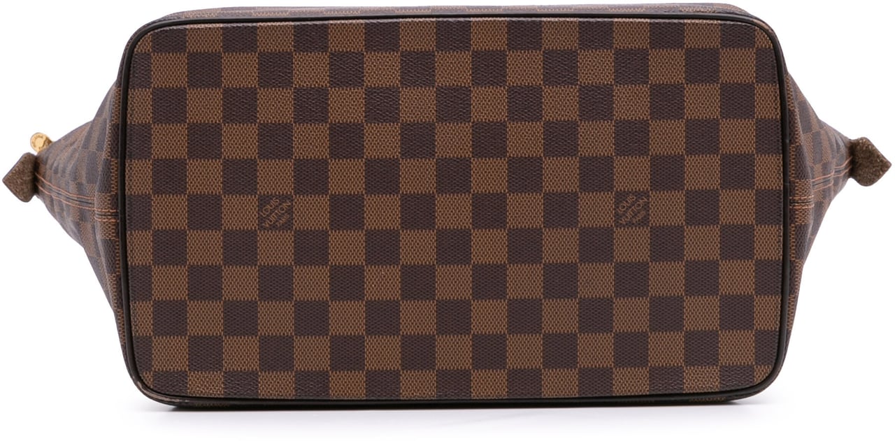 Louis Vuitton Damier Ebene Saleya MM Bruin