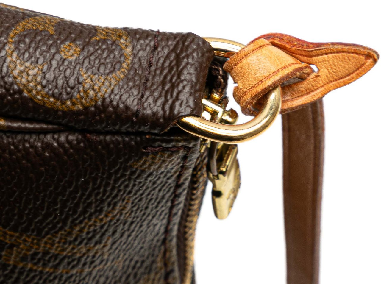 Louis Vuitton Monogram Pochette Accessoires Bruin