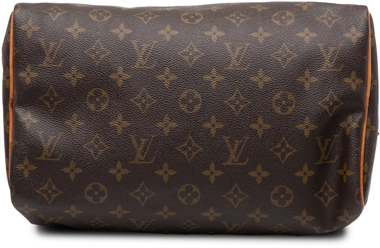 Louis Vuitton Monogram Speedy 30 Bruin