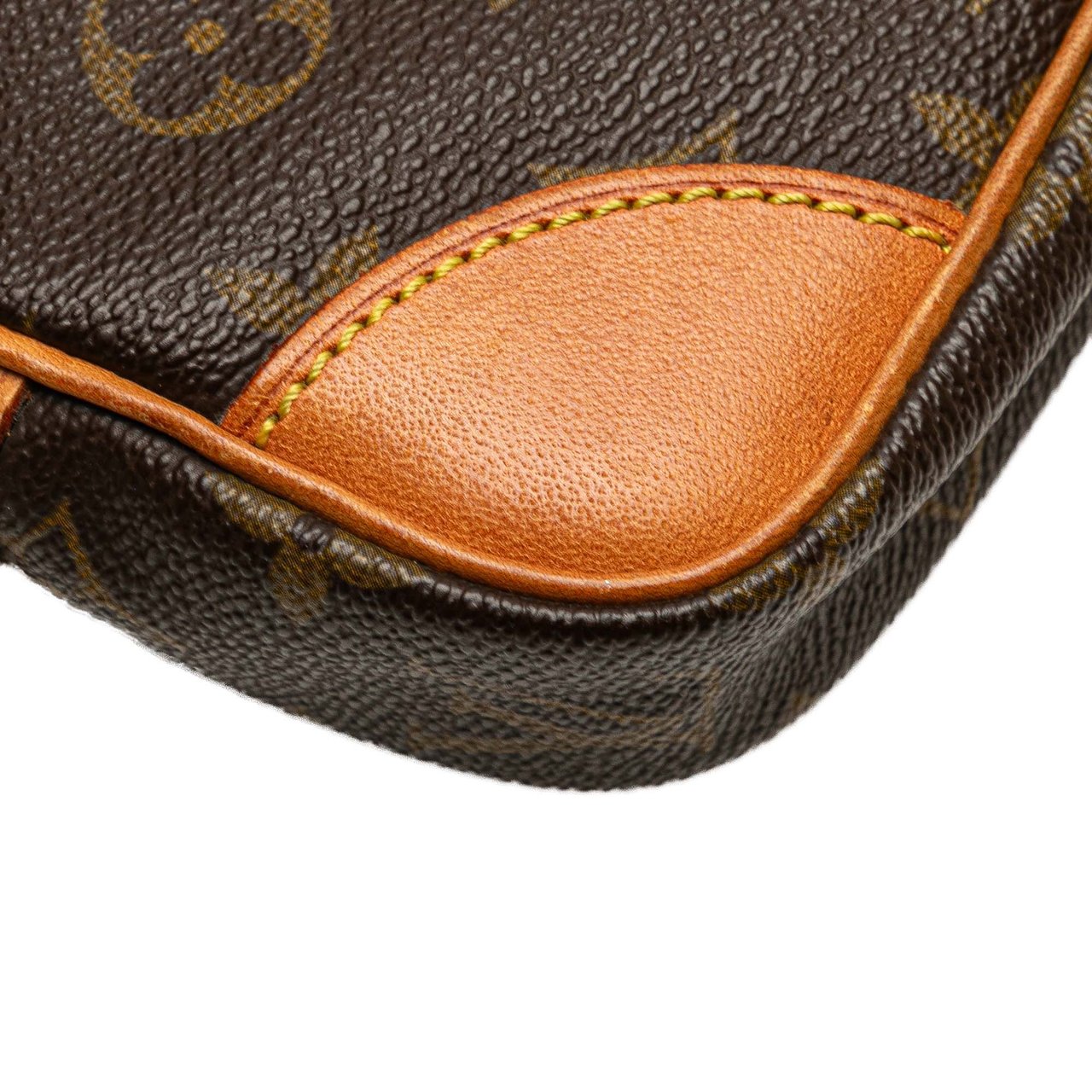 Louis Vuitton Monogram Marly Dragonne PM Bruin