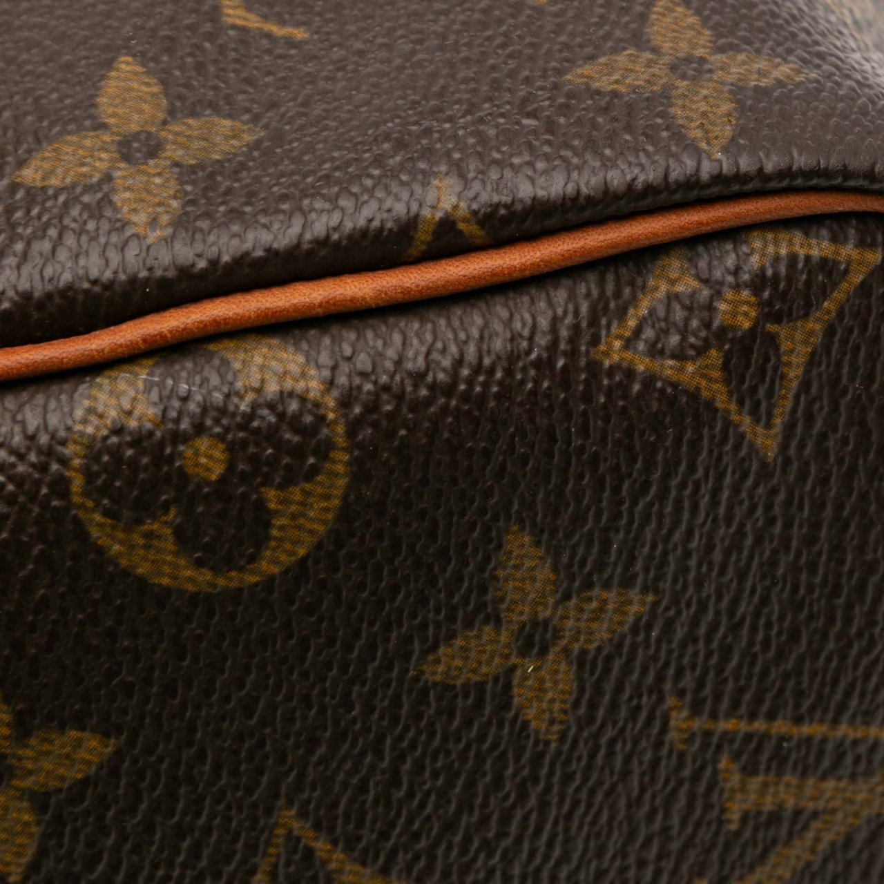 Louis Vuitton Monogram Speedy 30 Bruin