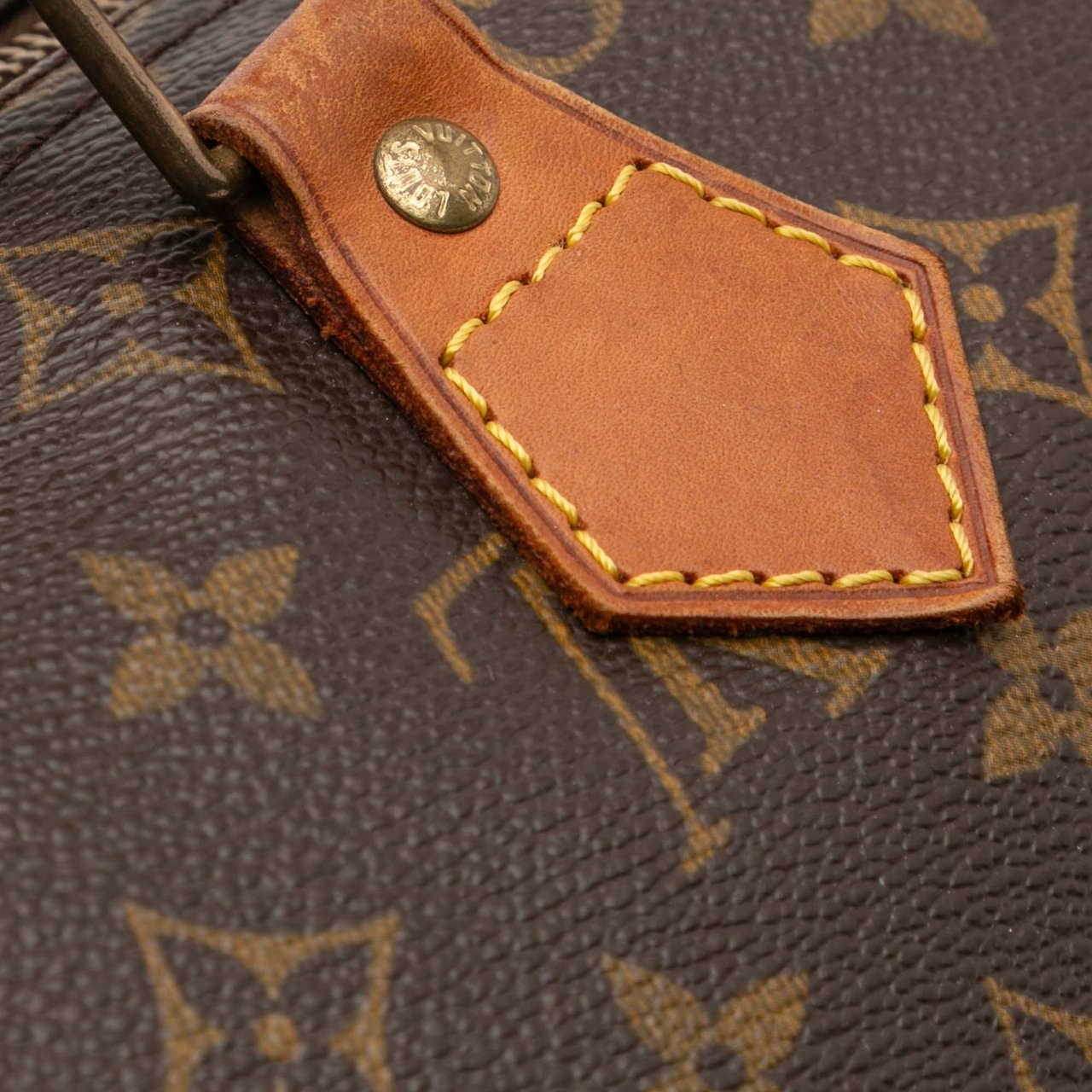 Louis Vuitton Monogram Speedy 30 Bruin