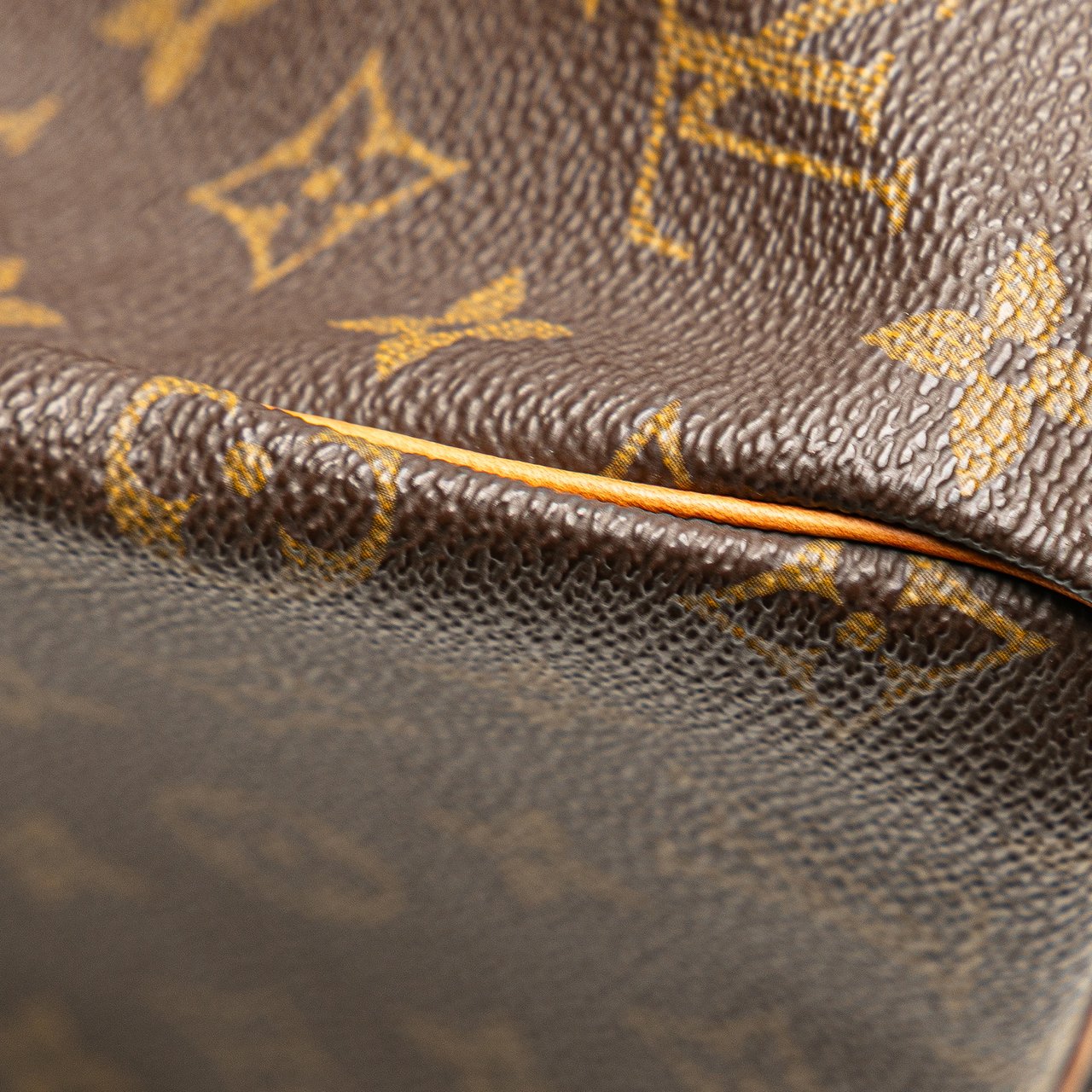 Louis Vuitton Monogram Speedy 30 Bruin