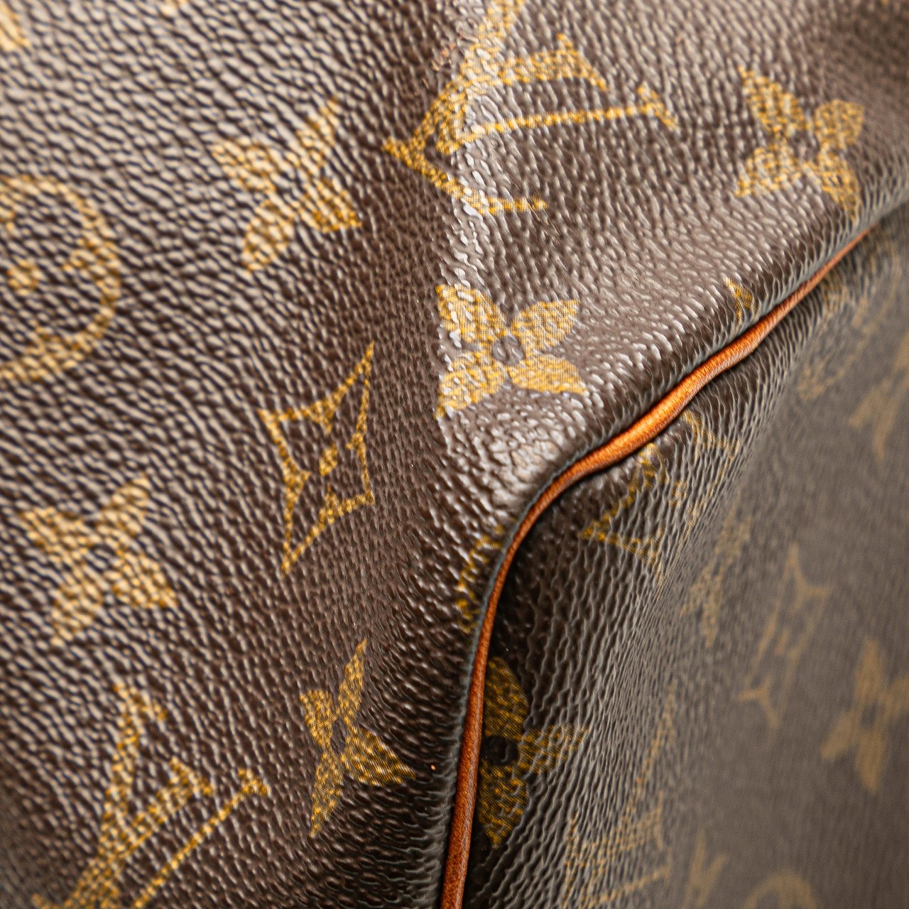 Louis Vuitton Monogram Speedy 30 Bruin