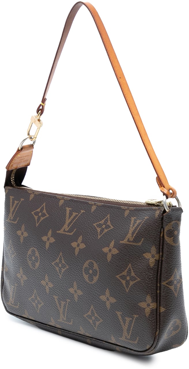 Louis Vuitton Monogram Pochette Accessoires Bruin