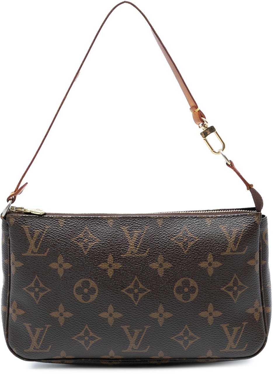 Louis Vuitton Monogram Pochette Accessoires Bruin