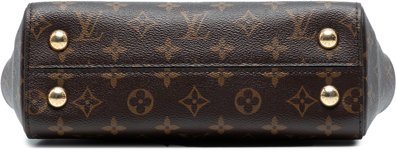 Louis Vuitton Monogram Cluny BB Bruin