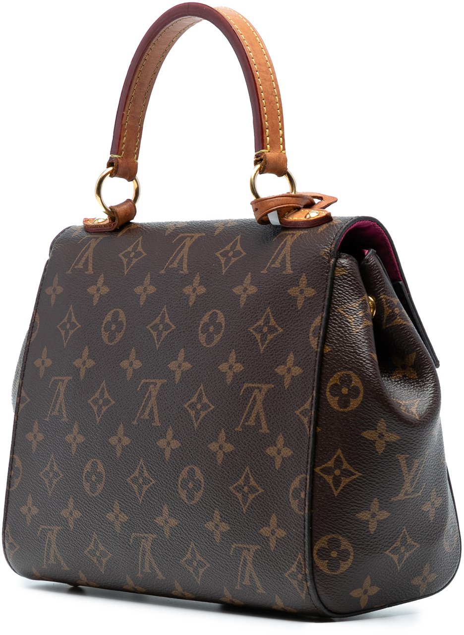 Louis Vuitton Monogram Cluny BB Bruin