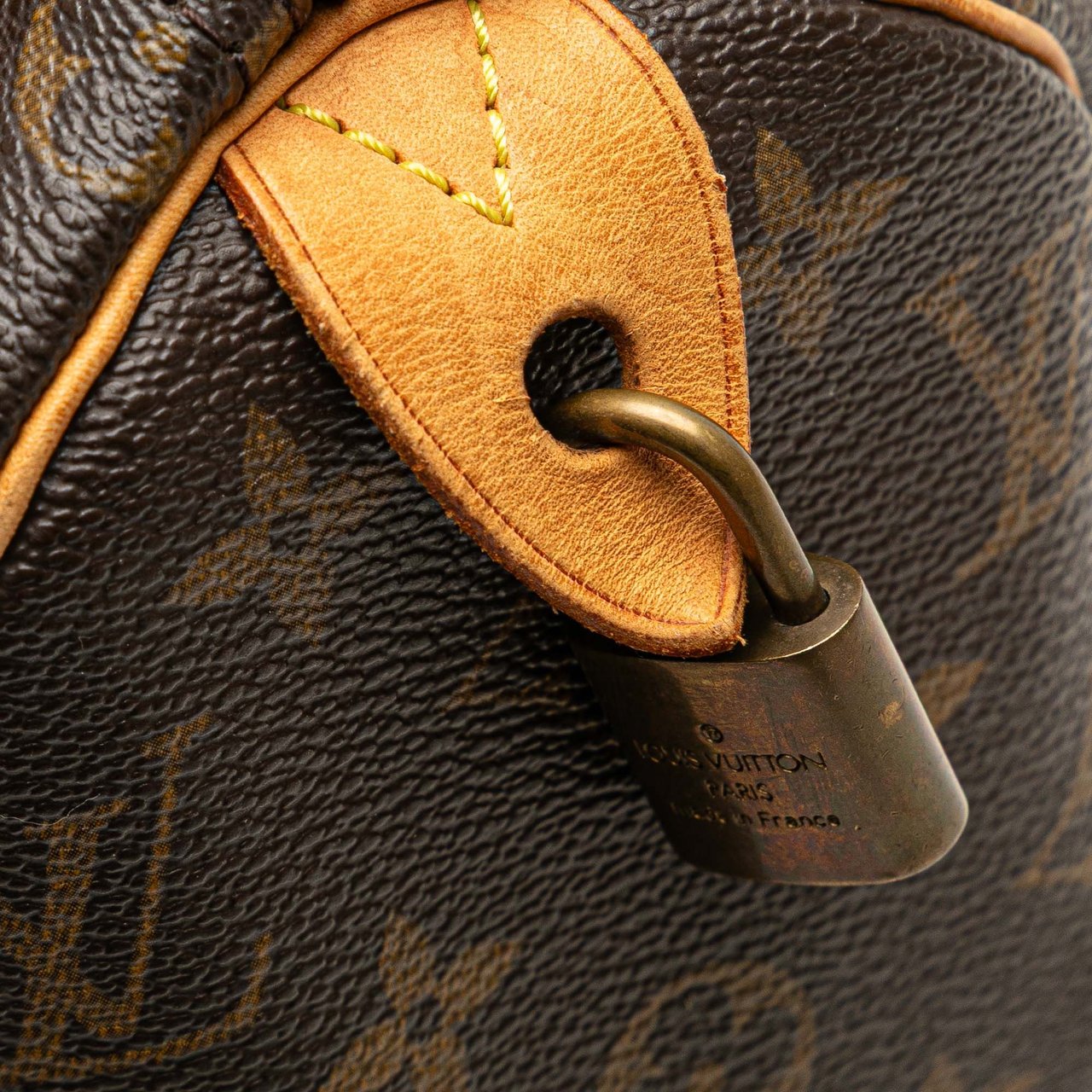 Louis Vuitton Monogram Speedy 25 Bruin