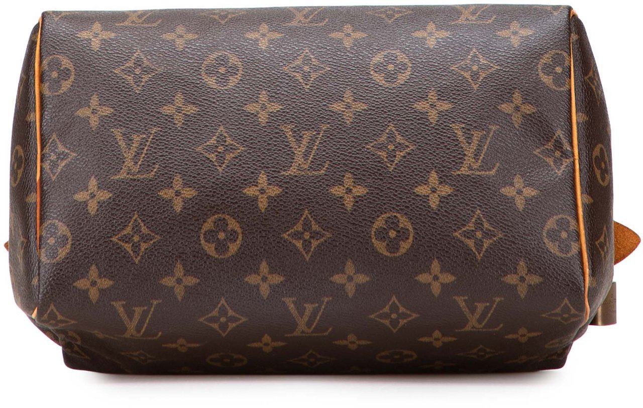 Louis Vuitton Monogram Speedy 25 Bruin