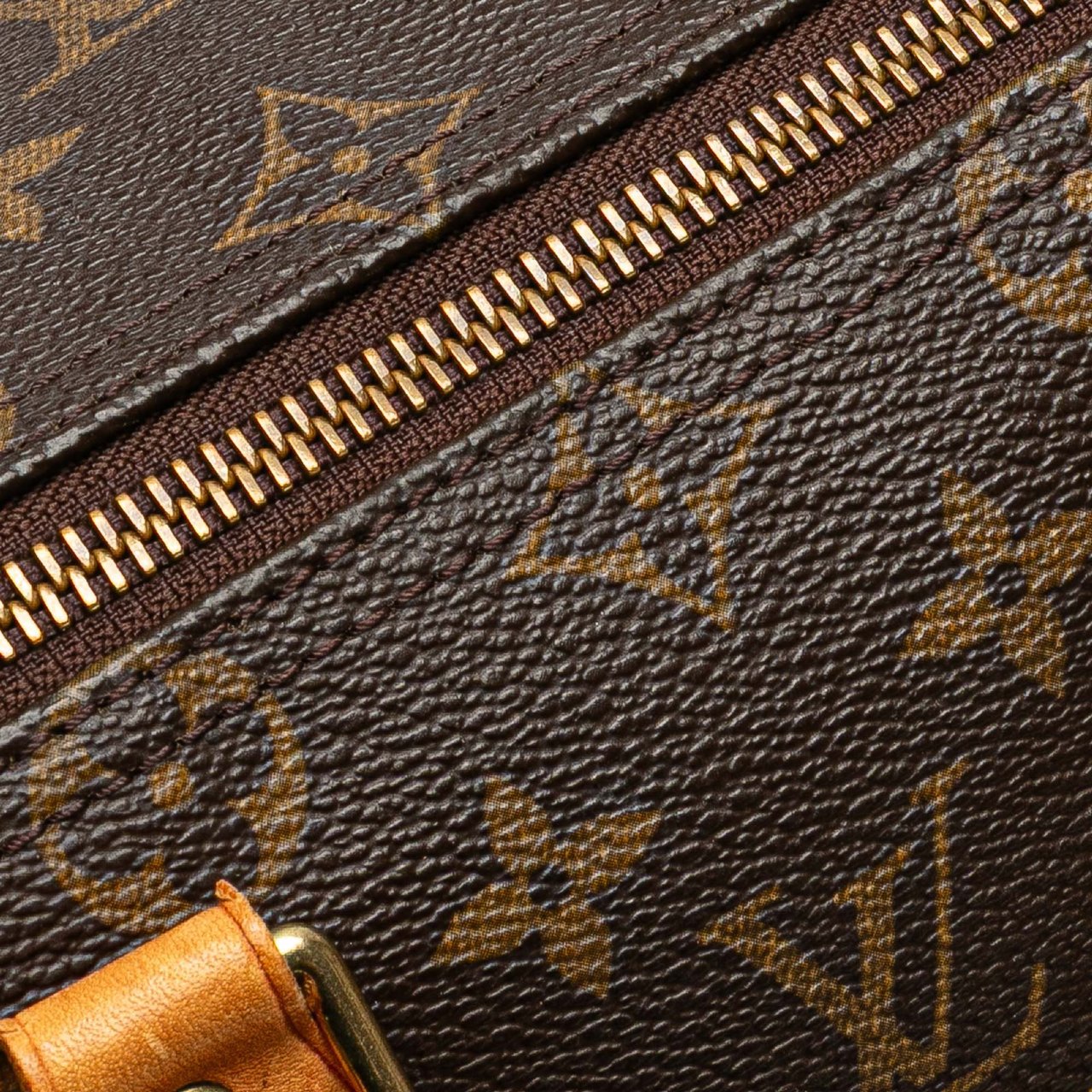 Louis Vuitton Monogram Speedy 25 Bruin