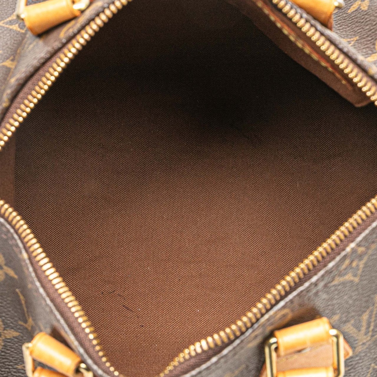 Louis Vuitton Monogram Speedy 25 Bruin