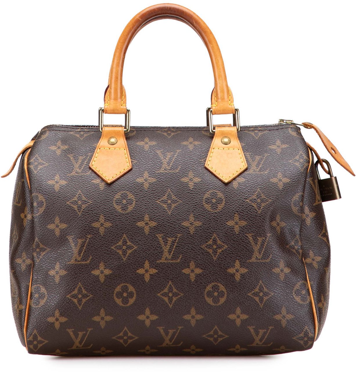 Louis Vuitton Monogram Speedy 25 Bruin