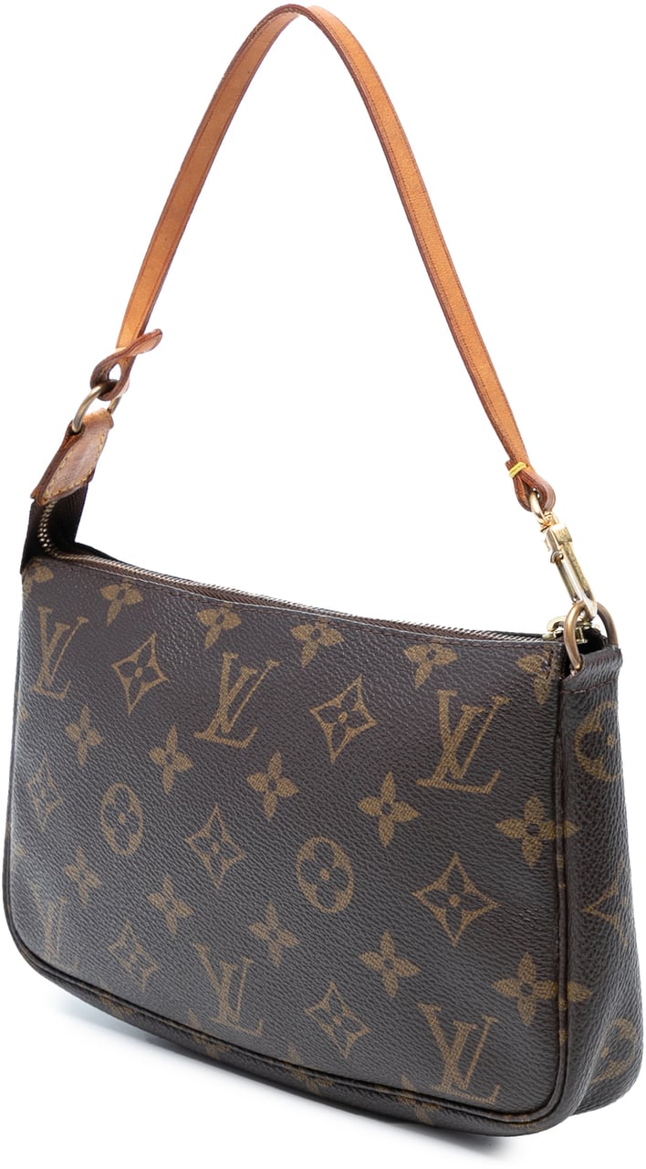 Louis Vuitton Monogram Pochette Accessoires Bruin
