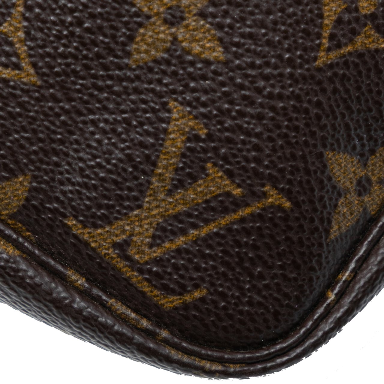 Louis Vuitton Monogram Pochette Accessoires Bruin