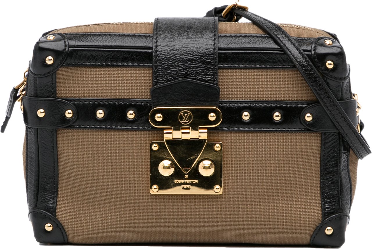 Louis Vuitton Petite Malle Soft MM Bruin