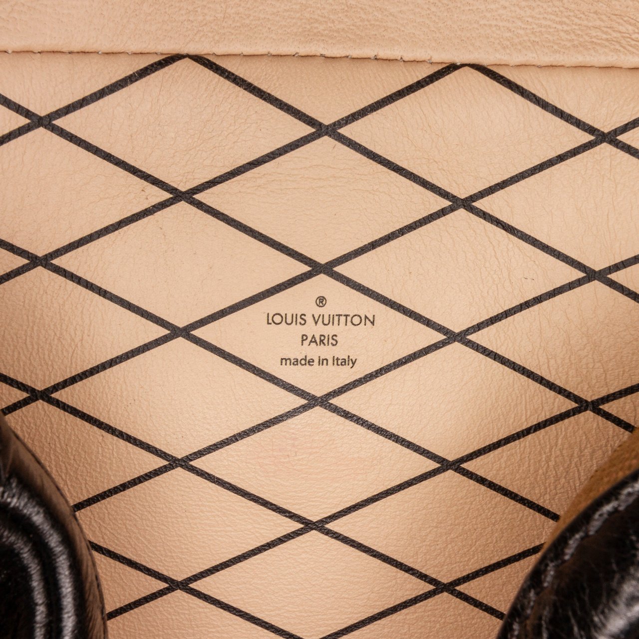 Louis Vuitton Petite Malle Soft MM Bruin