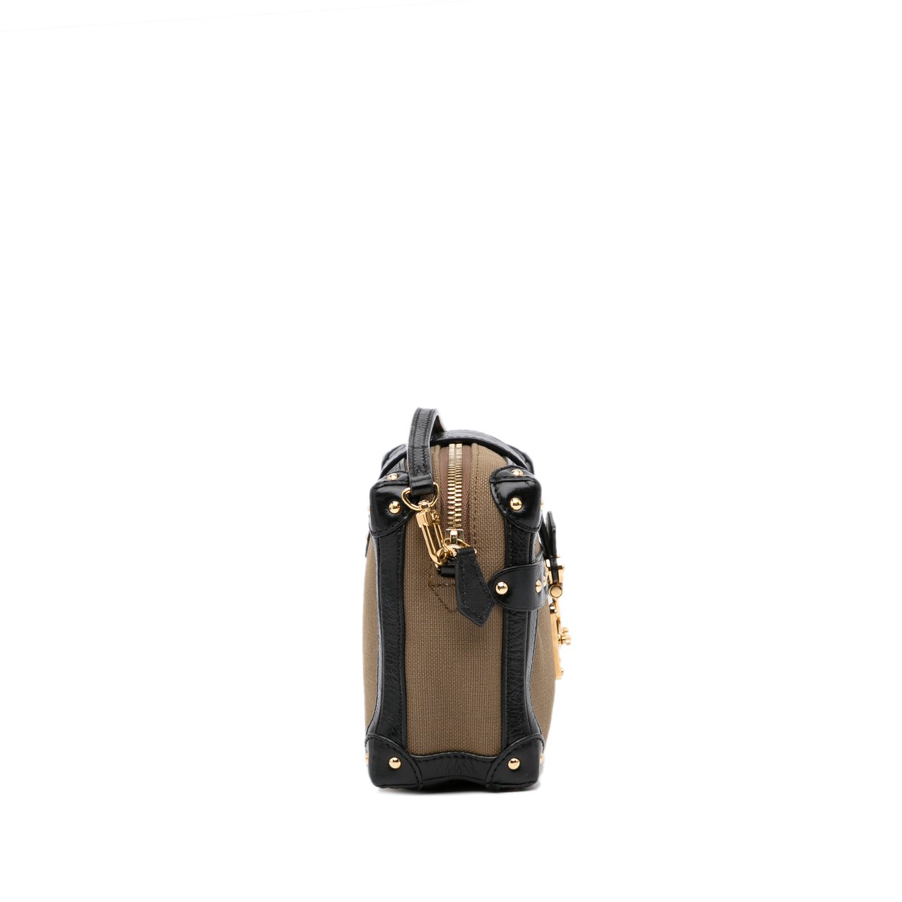 Louis Vuitton Petite Malle Soft MM Bruin