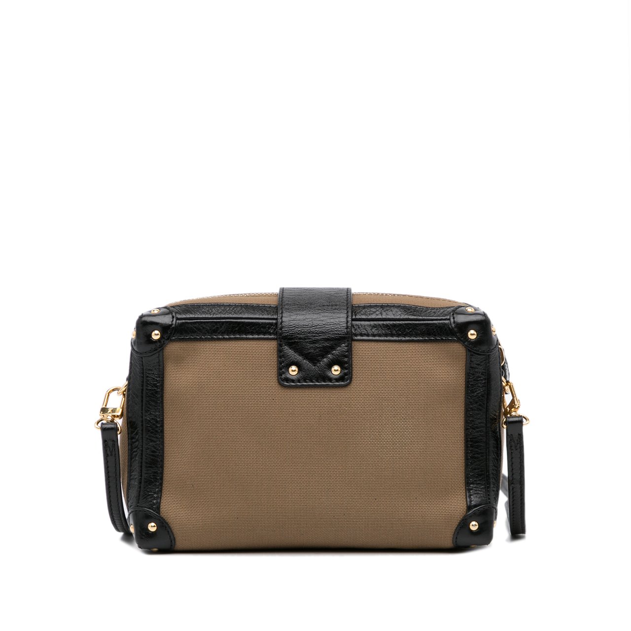 Louis Vuitton Petite Malle Soft MM Bruin