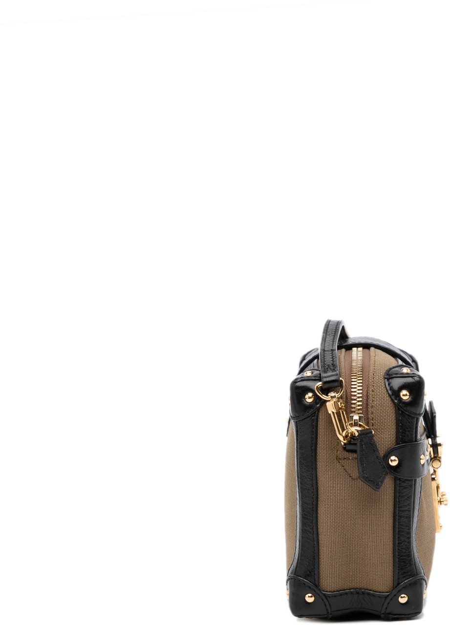 Louis Vuitton Petite Malle Soft MM Bruin